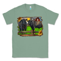 Sage black angus cattle and bull in barnyard Classic Tee - RanaPortraitStore