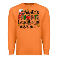 Carrot santa's favorite educational assistant Premium Sweatshirt - AdoDesignShop