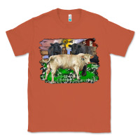Copper charolais bull black angus cattle and bull with barnyard and cowhide Classic Tee - RanaPortraitStore