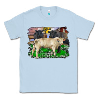 Dusty Blue charolais bull black angus cattle and bull with barnyard and cowhide Classic Tee - RanaPortraitStore