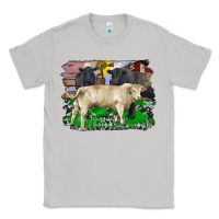Moon Dust charolais bull black angus cattle and bull with barnyard and cowhide Classic Tee - RanaPortraitStore