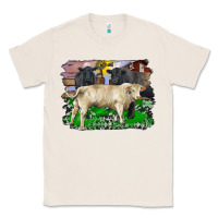 Natural charolais bull black angus cattle and bull with barnyard and cowhide Classic Tee - RanaPortraitStore
