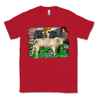 Red charolais bull black angus cattle and bull with barnyard and cowhide Classic Tee - RanaPortraitStore