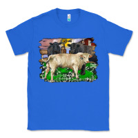 Charolais Bull Black Angus Cattle And Bull With Barnyard And Cowhide Classic Tee | Teevron