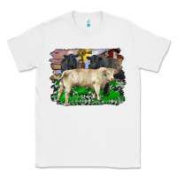 White charolais bull black angus cattle and bull with barnyard and cowhide Classic Tee - RanaPortraitStore