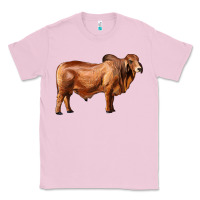 Bubblegum Pink brahman bull Classic Tee - RanaPortraitStore