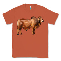 Copper brahman bull Classic Tee - RanaPortraitStore