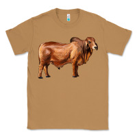 Toasted Coconut brahman bull Classic Tee - RanaPortraitStore