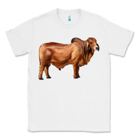 White brahman bull Classic Tee - RanaPortraitStore