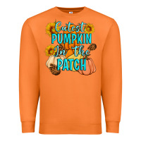 Carrot Cutest Pumpkin In The Patch Premium Sweatshirt - Artiststas