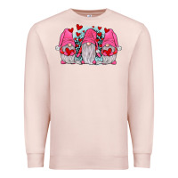 Pale Pink gnomies valentines day Premium Sweatshirt - JahusDesignShop