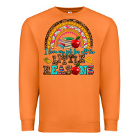 Carrot i love my job for all the little reasons Premium Sweatshirt - AdoDesignShop
