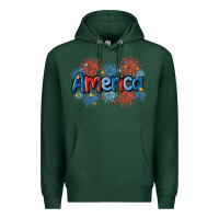 Sports Green America Premium Hoodie - MaliasSmallBusiness