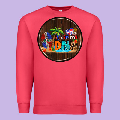 Dominican Republic Car Coaster Premium Sweatshirt Designed By Adodesignshop