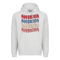Dove Grey america Premium Hoodie - MaliasSmallBusiness