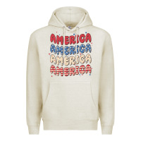Oatmeal Heather america Premium Hoodie - MaliasSmallBusiness