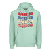 Seafoam america Premium Hoodie - MaliasSmallBusiness