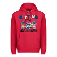 Cardinal getting star spangled hammered Premium Hoodie - MaliasSmallBusiness