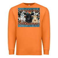 Carrot black angus Simmental charolais Premium Sweatshirt - JahusDesignShop