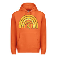 Carrot childhood cancer awareness rainbow Premium Hoodie - MaliasSmallBusiness