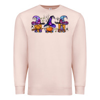 Pale Pink witch gnomes Halloween Premium Sweatshirt - BundleAndBundleShop
