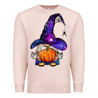 Pale Pink witch gnome with pumpkin Premium Sweatshirt - BundleAndBundleShop