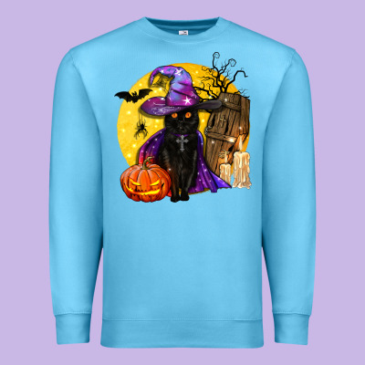 Black Witch Cat Coffin And Moon Premium Sweatshirt Designed By Bundleandbundleshop