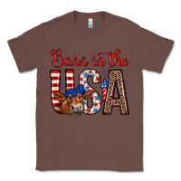 Chestnut barn in the usa Classic Tee - Zillion Design Studio