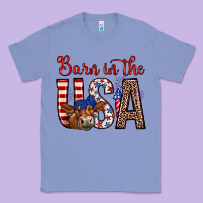 Barn In The Usa Classic Tee Designed By Zillion Design Studio