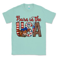 Seafoam barn in the usa Classic Tee - Zillion Design Studio