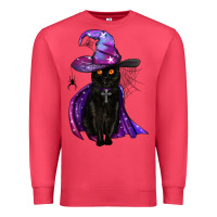 Cardinal black witch cat Premium Sweatshirt - BundleAndBundleShop