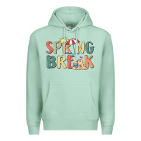 Seafoam spring break Premium Hoodie - MaliasSmallBusiness