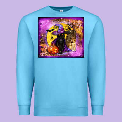 Witchy Cat Tumbler Premium Sweatshirt Designed By Bundleandbundleshop