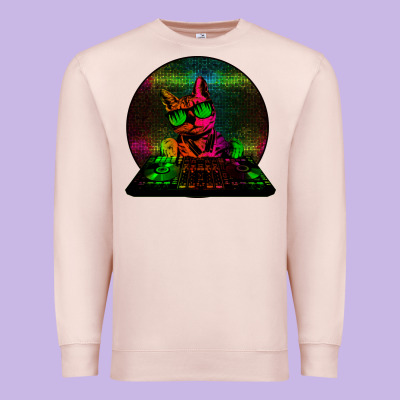 House Cat (rainbow Dj Kitty) Premium Sweatshirt Designed By Bettercallsaul
