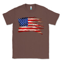 Chestnut tattered american flag Classic Tee - Zillion Design Studio