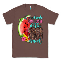 Chestnut if you drink don t drive do the watermelon crawl Classic Tee - Zillion Design Studio