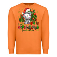 Carrot i want a hippopotamus for christmas Premium Sweatshirt - AdoDesignShop
