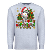 Heather Grey i want a hippopotamus for christmas Premium Sweatshirt - AdoDesignShop