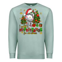 Seafoam i want a hippopotamus for christmas Premium Sweatshirt - AdoDesignShop