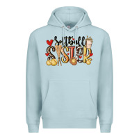Blue Mist softball sister Premium Hoodie - MaliasSmallBusiness