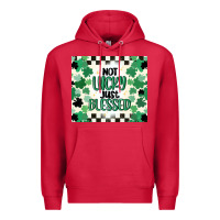 Cardinal not lucky just blessed Premium Hoodie - MaliasSmallBusiness