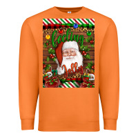 Carrot Christmas Feeling Jolly Santa Premium Sweatshirt - Artiststas