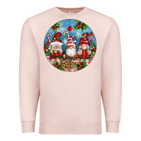 Pale Pink christmas gnomes ornament Premium Sweatshirt - Artiststas