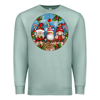 Seafoam christmas gnomes ornament Premium Sweatshirt - Artiststas