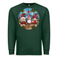 Sports Green christmas gnomes ornament Premium Sweatshirt - Artiststas