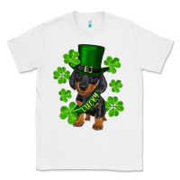 White st. patrick's day lucky dachshund puppy Classic Tee - RanaPortraitStore