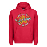 Cardinal my greatest blessing call me nana Premium Hoodie - MaliasSmallBusiness