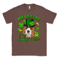 Chestnut st.patrick's day my beagle is my lucky charm Classic Tee - RanaPortraitStore