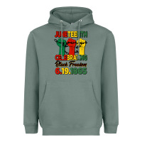 Sage juneteenth celebrating black freedom Heavyweight Hoodie - HRA Design Shop
