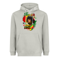 Moon Dust free ish since 1865 Heavyweight Hoodie - HRA Design Shop